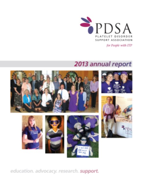 13 Annual Report