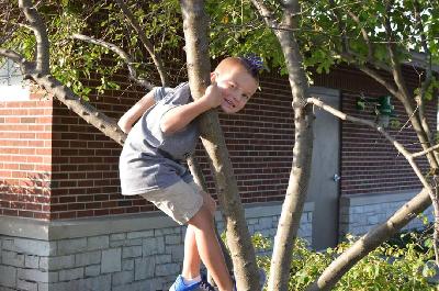 Cayden climbing a tree